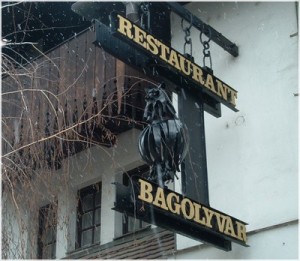 Bagolyvár
