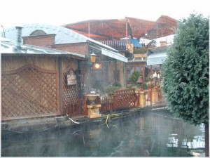 Robinson Restaurant