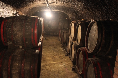 Wine cellar in Eger
