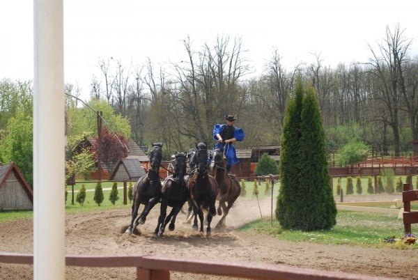 Some pictures from the "Horse and Puszta program"