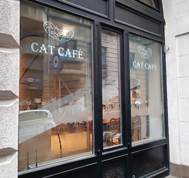 Kattencafé in Boedapest