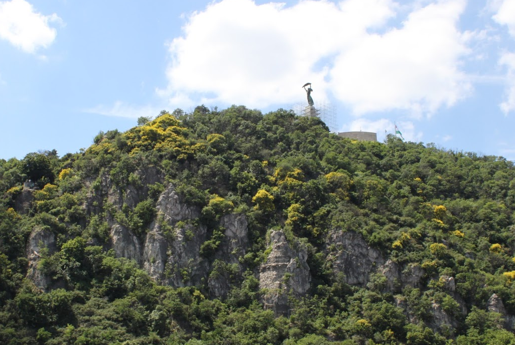 gellert hill