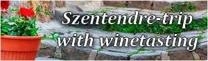 Szentendre excursion with wine tasting